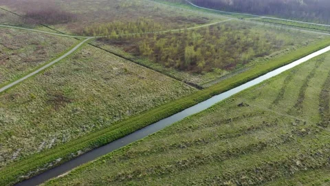 Spring forest with young trees and walkways Stock Footage 152949331