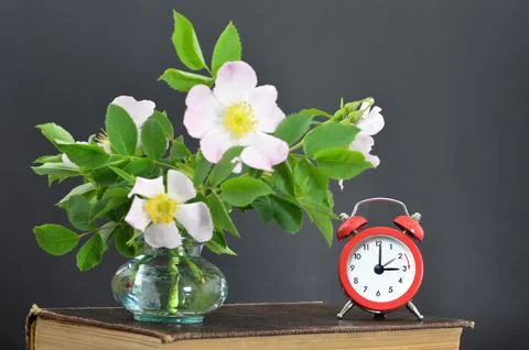 Spring forward. Summer time change concept Stock Photos