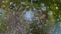 Spring fountain water droping down with 120fps HD Footage