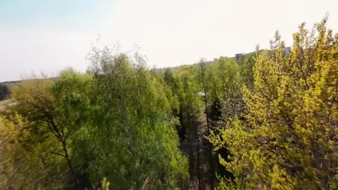 Spring FPV City Park Forest Trees leaf Green Stock Footage 307913520