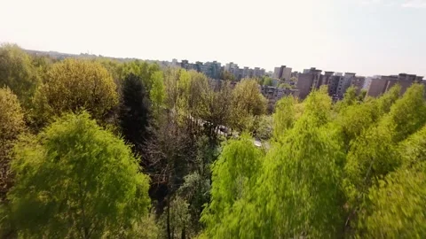 Spring FPV City Park Forest Trees leaf Green Stock Footage 307913675