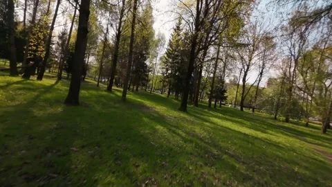 Spring FPV City Park Forest Trees leaf Green Stock Footage 307913843