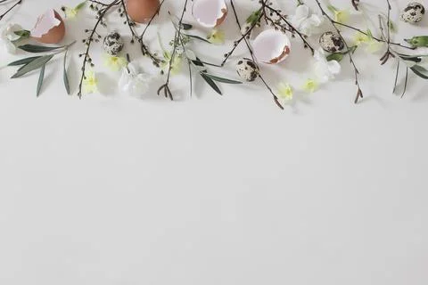 Spring frame, banner. Easter floral composition. Yellow primrose, white Fotos Stock