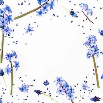 Spring frame with blue spring flowers and petals on white background. Flat la Foto stock