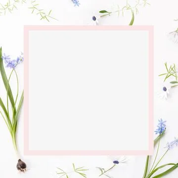 Spring frame of small flowers and daisy, floral arrangement Stock Photos