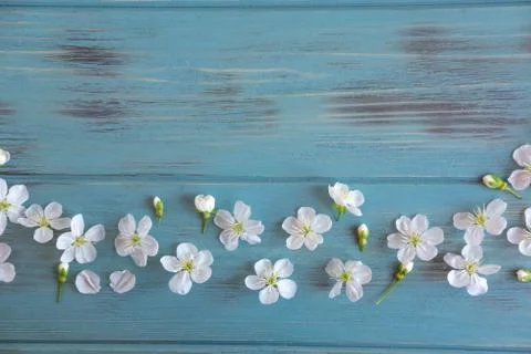 Spring frame for text. Banner design for spring promotion. White cherry flowe Stock Photos