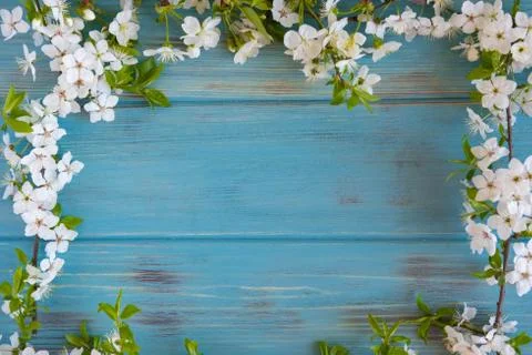 Spring frame for text. Banner design for spring promotion. White cherry flowe Stock Photos