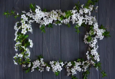 Spring frame for text. Banner design for spring promotion. White cherry flowe Stock Photos