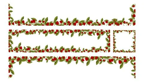 Spring frames with raspberries and leaves. Summer vector borders Stockillustratie