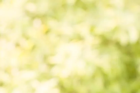 Spring fresh background, bokeh blur Stock Photos