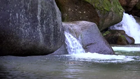 Spring of fresh drinking water flowing from rocks in forest stream - Creek Bed Stock Footage 339339051