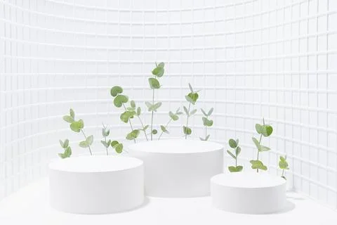 Spring fresh elegant white scene as curved niche with three circle podiums mo Stock Photos