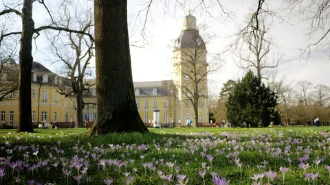 Spring fresh flowers. Stock Footage 124852341