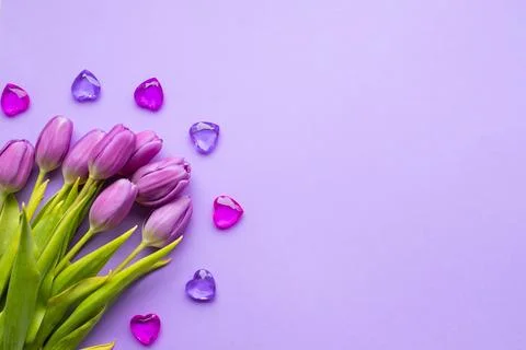 Spring fresh tulips on violet background for mother's day, valentine Stock Photos