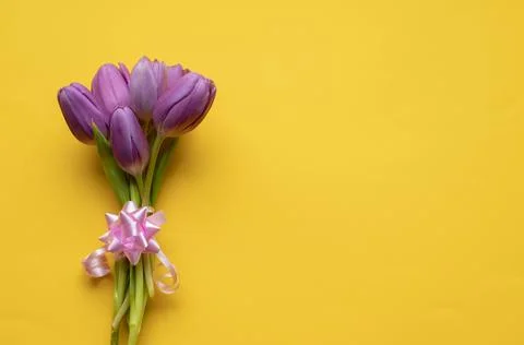 Spring fresh tulips on yellow background for mother's day, valentine Stock Photos