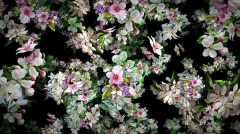 Spring fruit tree white flowers illustration Stock Illustration