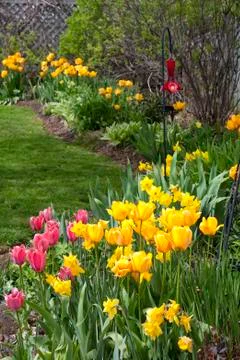 Spring gardeb Stock Photos