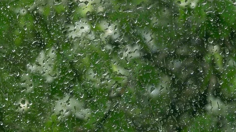 Spring garden blurred view through rainy window. Stock Footage 90566619