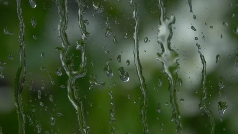 Spring garden blurred view, waving in wind behind rainy window. Stock Footage 90566616