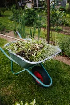 Spring garden cleaning Stock Photos
