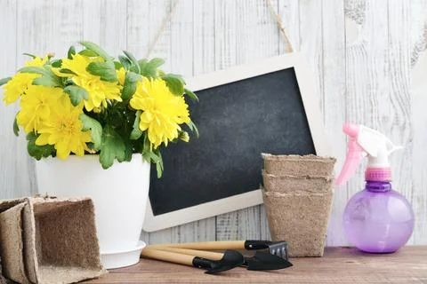 Spring in the garden concept Stock Photos