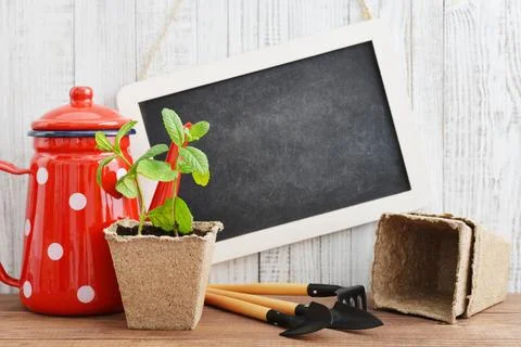 Spring in the garden concept Stock Photos