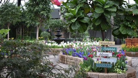 Spring Garden Display at The Muttart Conservatory (pan) Stock Footage 181604623