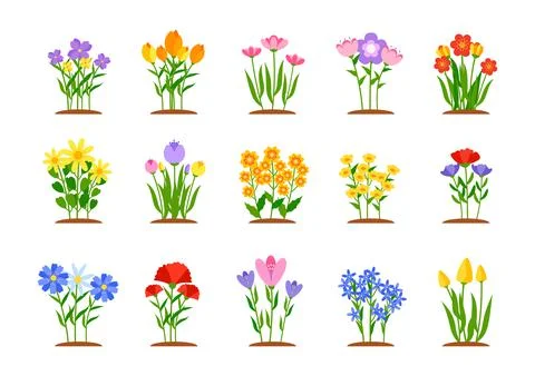 Spring garden flower beds flat style vector set Stock Illustration