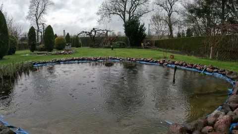 Spring in the garden Stock Footage 238816473