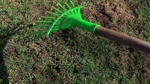 Spring garden grass ground green rake hd footage Stock Footage 106618140