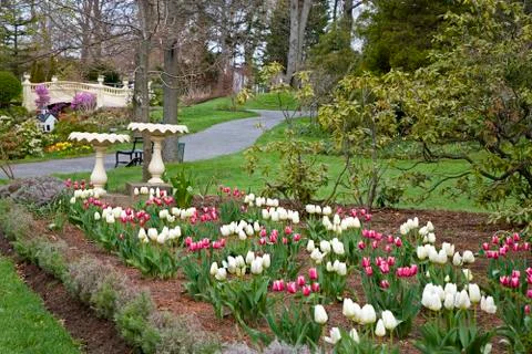 Spring garden Stock Photos
