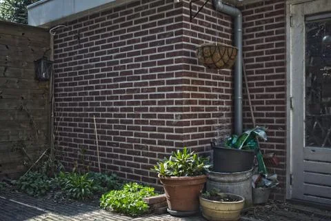 Spring in garden Stock Photos