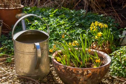 Spring garden Stock Photos