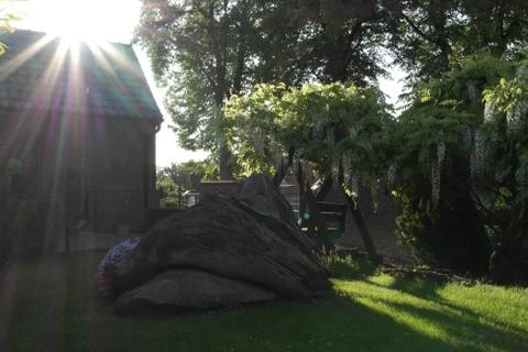 Spring garden Stock Photos