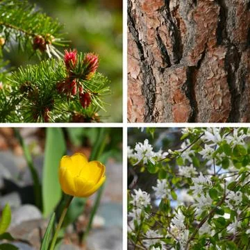 Spring garden Stock Photos