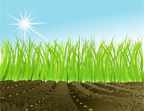 Spring garden plants Stock Illustration