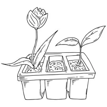 Spring garden plants planted in buckets icon. Vector illustration of a bucket Stock Illustration