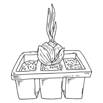 Spring garden plants planted in buckets icon. Vector illustration of a bucket Stock Illustration