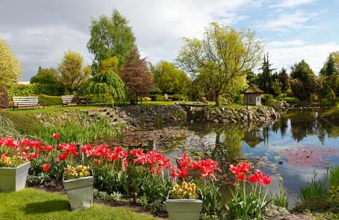 Spring garden with a pond Stock Photos