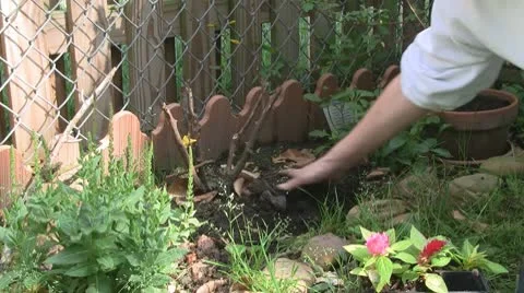 Spring garden preparation 스톡 동영상 10683792