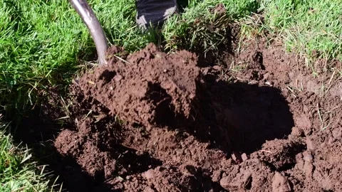 Spring garden work close up on a shovel selective focus video Stock Footage 255664315