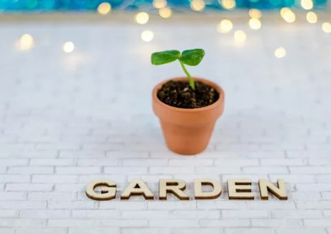 Spring gardening concept (1) Stock Photos