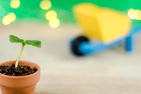 Spring gardening concept (5) Stock Photos