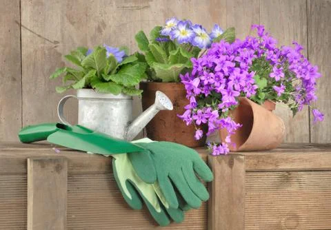 Spring gardening concept Stock Photos