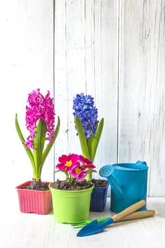 Spring gardening concept Stock Photos