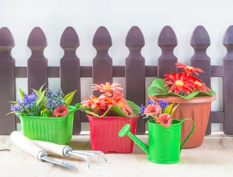 Spring gardening concept. Various spring flowers in pots and gardening tools Stock Photos