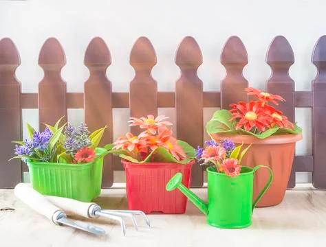 Spring gardening concept. Various spring flowers in pots and gardening tools Stock Photos