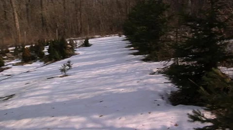 Spring Gardening Vidéo 56584725