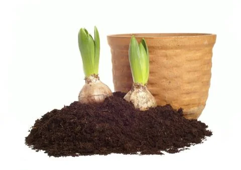 Spring gardening Stock Photos