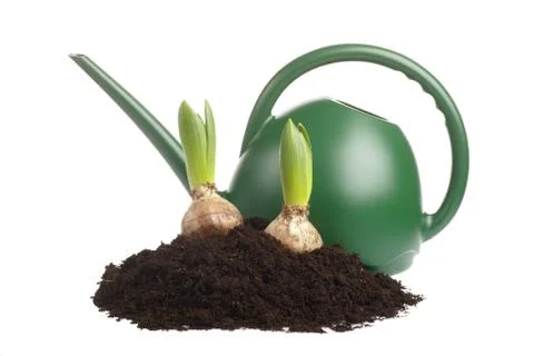 Spring gardening Stock Photos